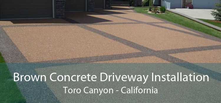 Brown Concrete Driveway Installation Toro Canyon - California