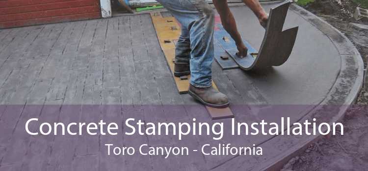 Concrete Stamping Installation Toro Canyon - California