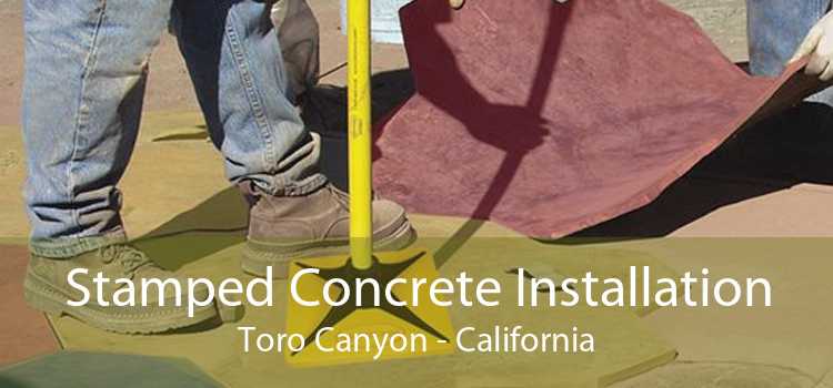 Stamped Concrete Installation Toro Canyon - California